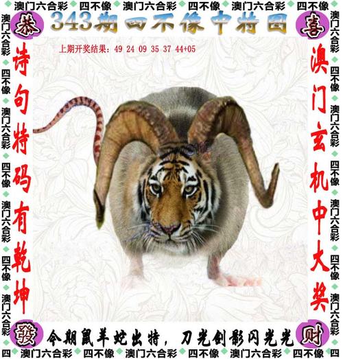 2024年11月 第58页