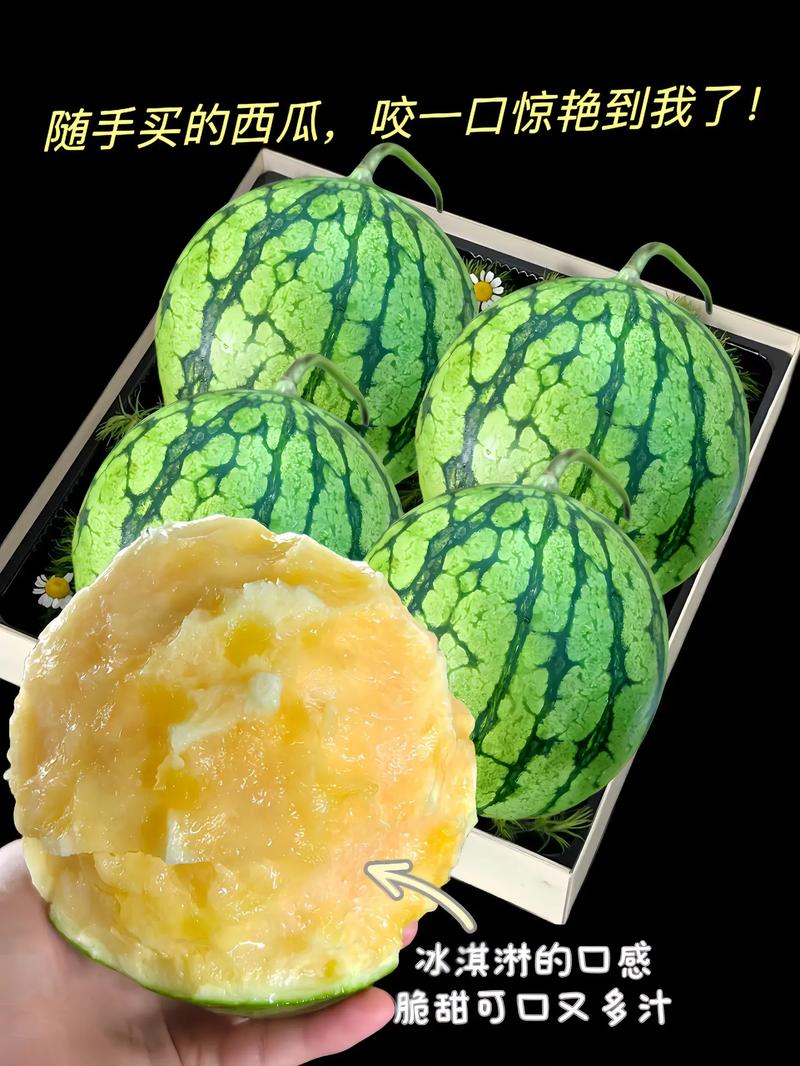 扬名立万在线观看免费完整版高清西瓜,绝对策略计划研究_社交版40.12.0