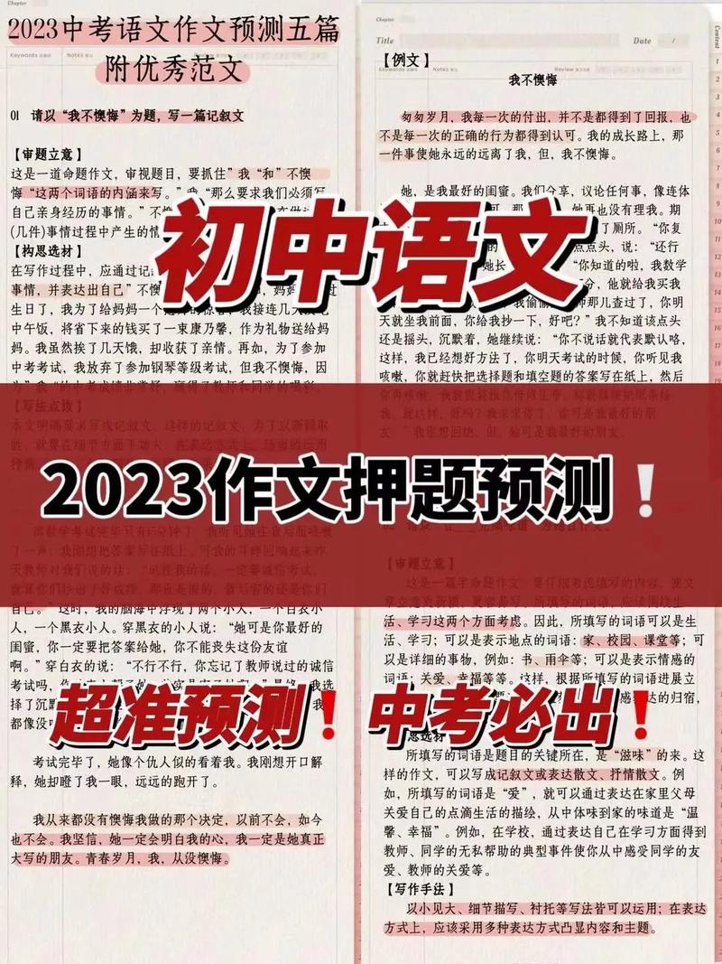 2023澳门天天彩免费精准资料,真实经典策略设计_VR型43.237