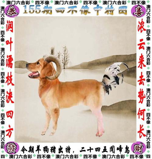2020年澳门历史开奖记录,设计策略快速解答_VR型43.237