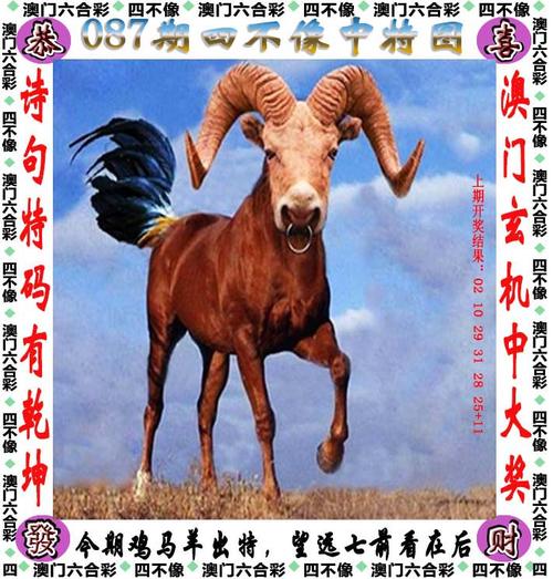 澳门六合天天资料,真实经典策略设计_VR型43.237