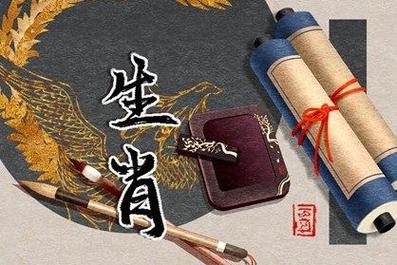 2024年12生肖49码图,设计策略快速解答_VR型43.237