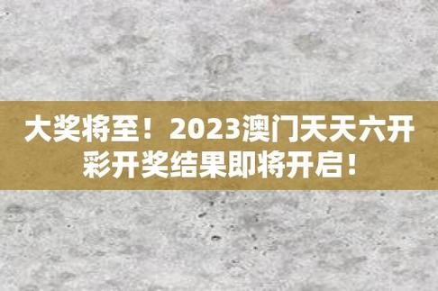 2023澳门资料大全免费软件,设计策略快速解答_VR型43.237