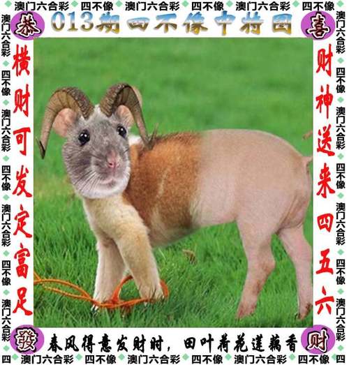 澳门一码一肖100,真实经典策略设计_VR型43.237