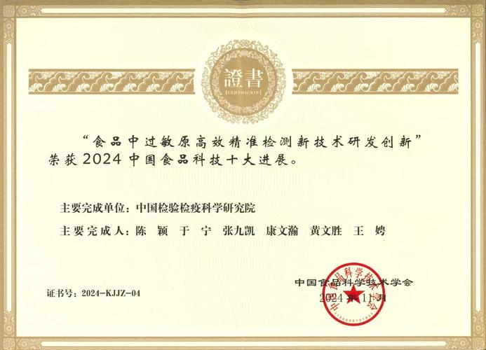 2024新澳门精准正版资料,设计策略快速解答_整版DKJ656.74