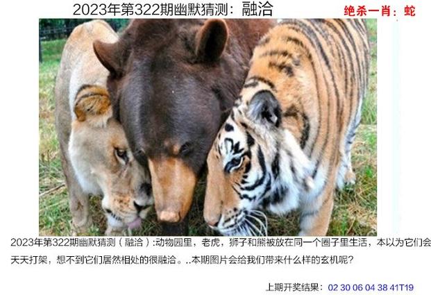 2024年11月 第10页