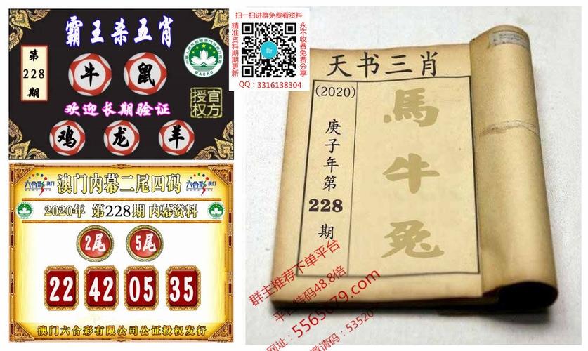 澳门正版六合资料,设计策略快速解答_VR型43.237