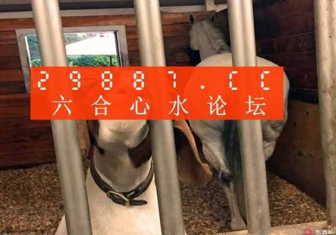 2023澳门三肖三码期期准资料,真实经典策略设计_VR型43.237