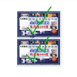澳门精准免费资料大全49码,设计策略快速解答_整版DKJ656.74