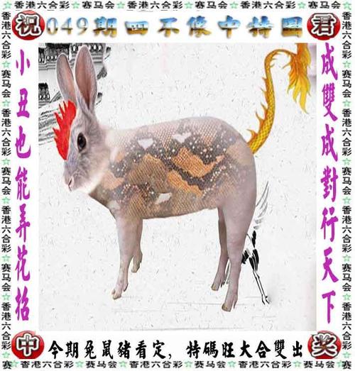 118开奖站一一澳门,设计策略快速解答_整版DKJ656.74