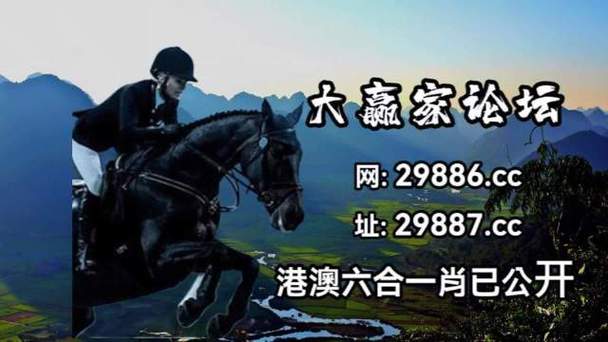 澳门资料4949,真实经典策略设计_VR型43.237