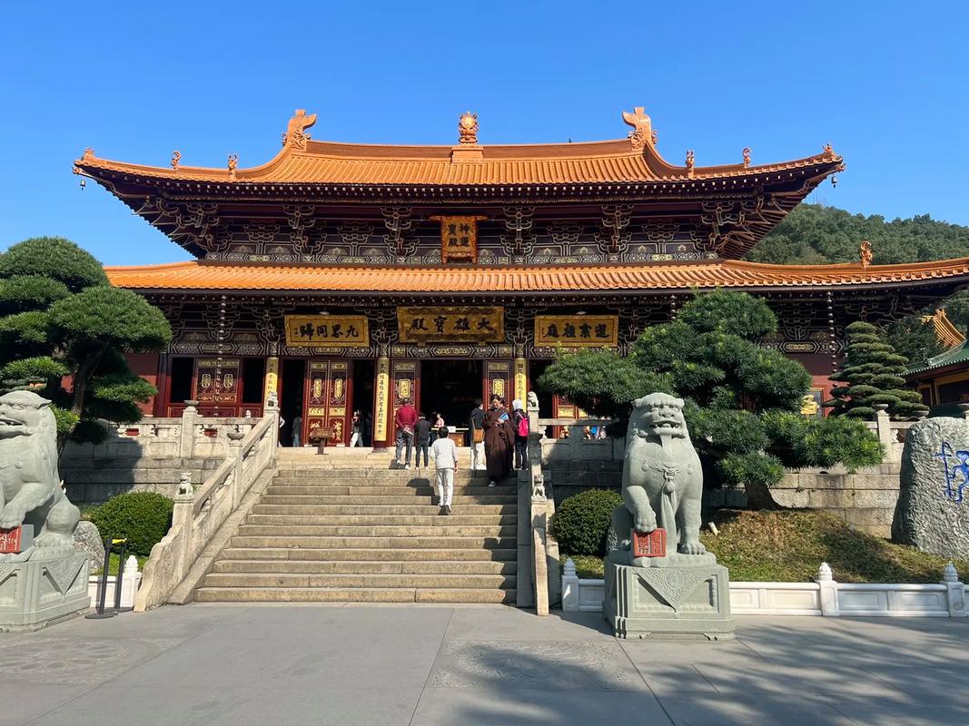 澳门最精准免费资料大全旅游团,绝对策略计划研究_社交版40.12.0