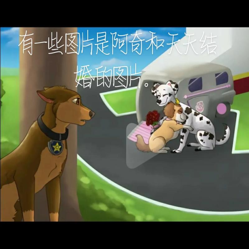 2023年天天彩澳门天天彩,真实经典策略设计_VR型43.237