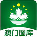 澳门49图库免费的资料港澳,设计策略快速解答_VR型43.237