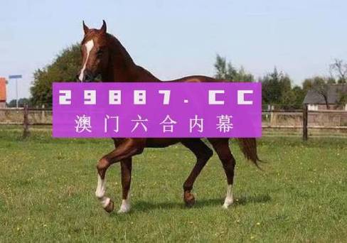 澳门精准四肖八码期期准,真实经典策略设计_VR型43.237