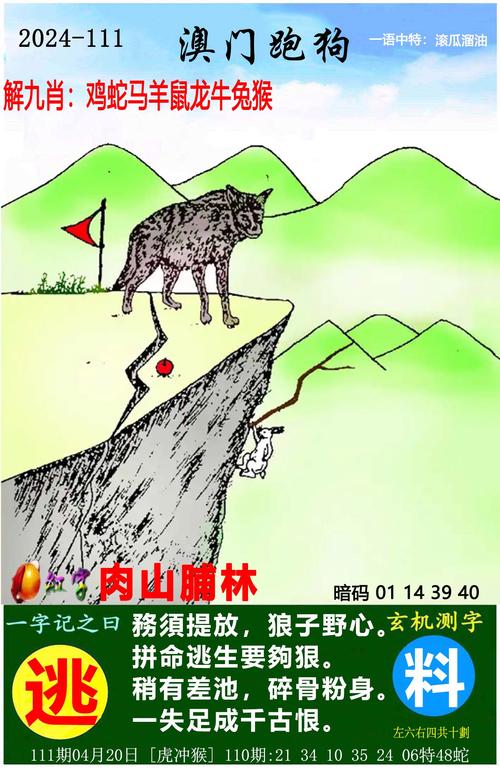 澳门天天彩精准资料网站,设计策略快速解答_VR型43.237