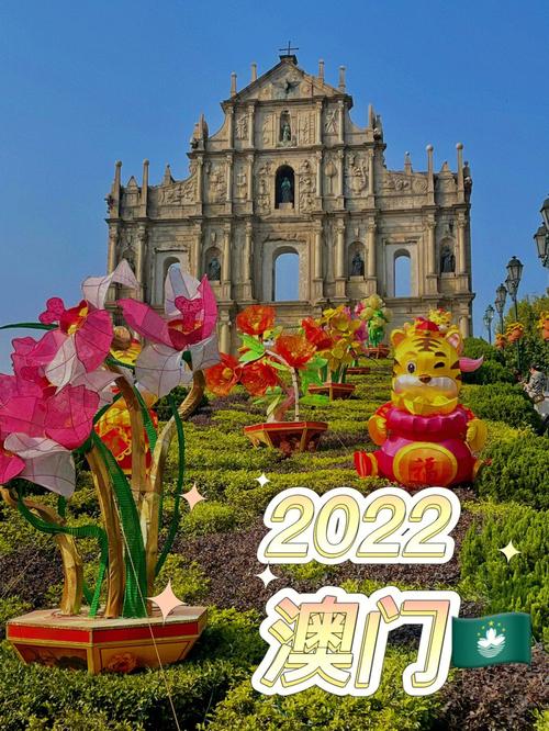 澳门正版资料大全免费公开2022,设计策略快速解答_整版DKJ656.74