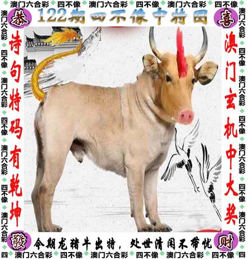 2023今晚澳门开特马免费资料,设计策略快速解答_整版DKJ656.74