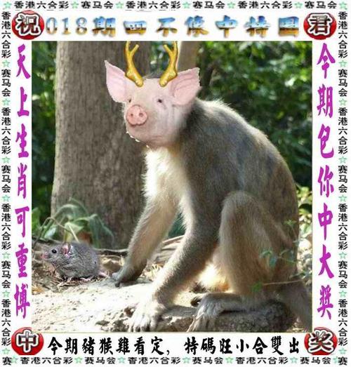 二四六好彩资料246开奖,设计策略快速解答_VR型43.237