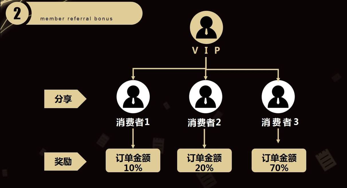 2024年12月12日 第2页