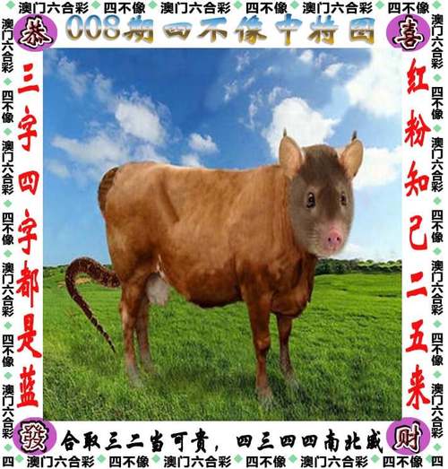 澳门今天开什么特马,设计策略快速解答_整版DKJ656.74