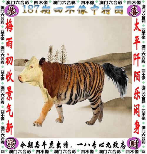 澳门6合和彩开奖记录,真实经典策略设计_VR型43.237