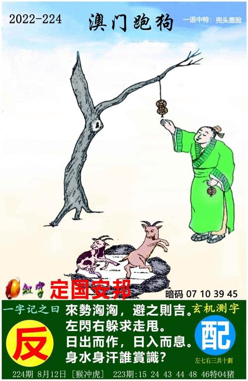 澳门王中王资料网,真实经典策略设计_VR型43.237
