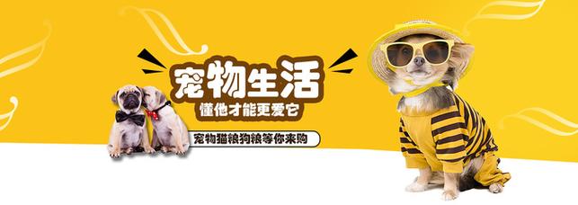 新澳门免费2024资料,设计策略快速解答_VR型43.237