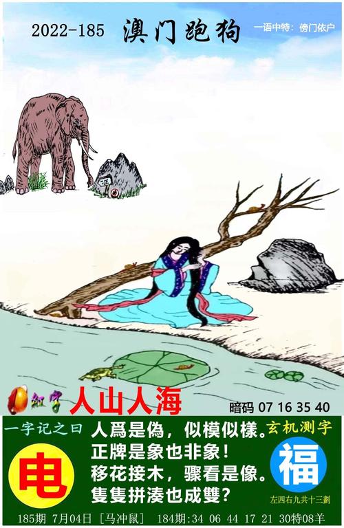 2021年澳门历史开奖记录完整版,设计策略快速解答_VR型43.237