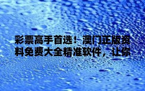 澳门正版资料精准网址,设计策略快速解答_整版DKJ656.74