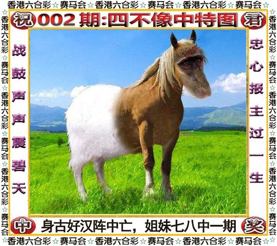香港二四六开奖现场直播下载,设计策略快速解答_VR型43.237