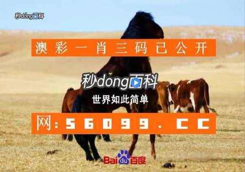 澳门六下彩资料网站,真实经典策略设计_VR型43.237