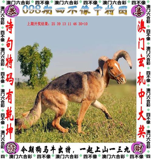 澳门开奖结果开奖资料大全,设计策略快速解答_VR型43.237