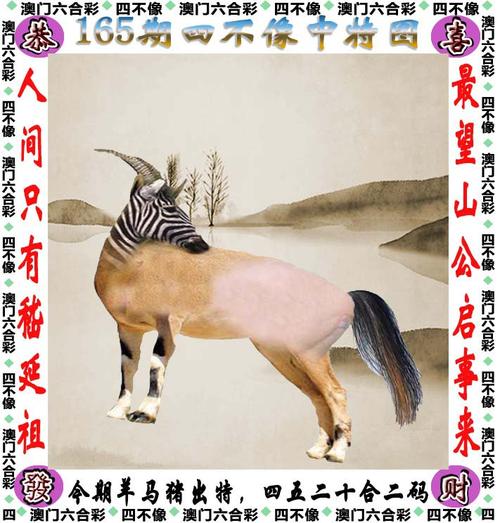 澳门王中王一肖一码100%精准,设计策略快速解答_VR型43.237
