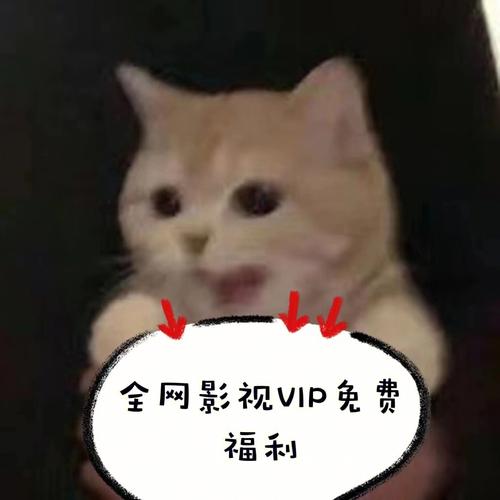 不用vip就可以追剧的软件,绝对策略计划研究_社交版40.12.0