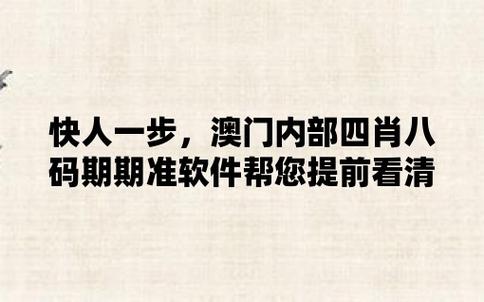 澳门管家婆一肖一吗100%精准准确,设计策略快速解答_整版DKJ656.74