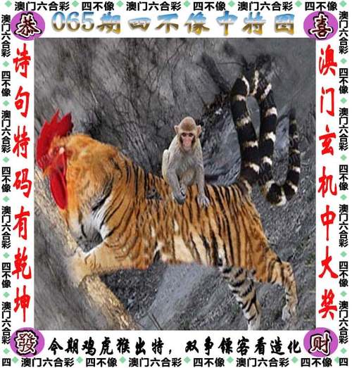 澳门天天彩开奖最快最准,设计策略快速解答_整版DKJ656.74