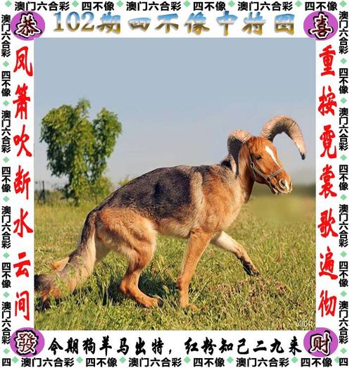澳门开奖结果+开奖记录2021年今晚独家,设计策略快速解答_整版DKJ656.74