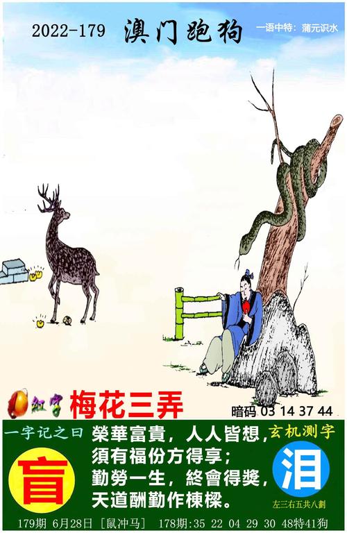 澳门一肖资料,设计策略快速解答_整版DKJ656.74