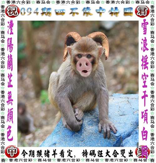 澳门资料大全+正版资料2024,绝对策略计划研究_社交版40.12.0