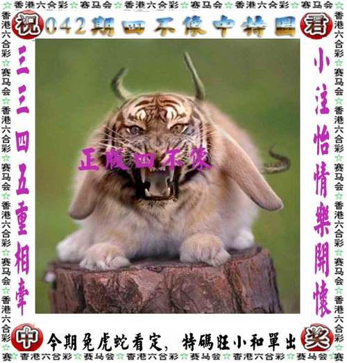 澳门6合资料2023年大全,真实经典策略设计_VR型43.237