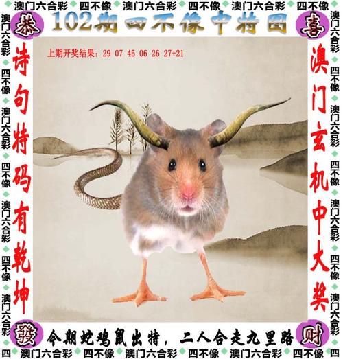 澳门天天彩资料正版免费最新版,设计策略快速解答_VR型43.237
