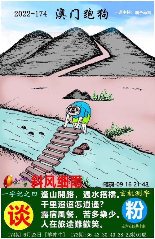 4949澳门最准一肖一码,设计策略快速解答_整版DKJ656.74