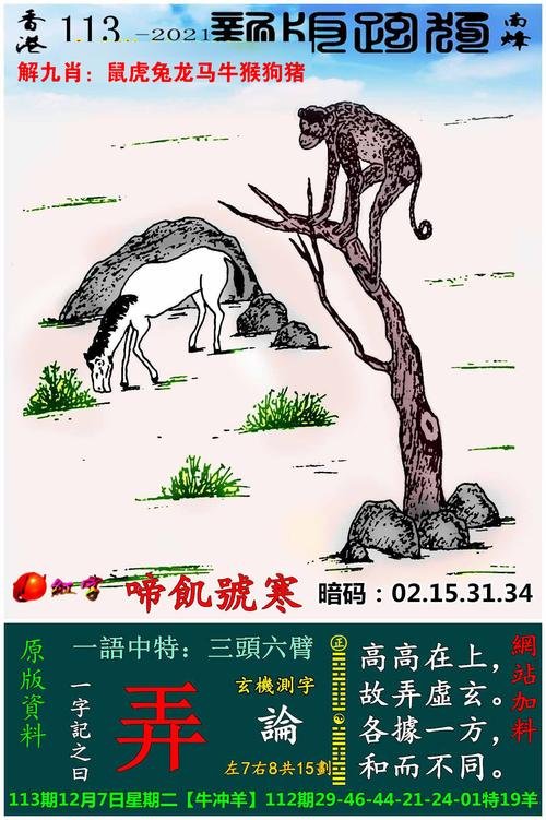 香港二四六正版姿料,设计策略快速解答_整版DKJ656.74