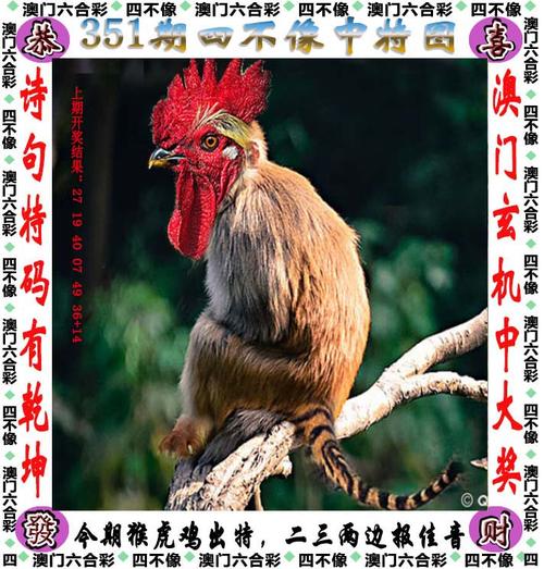 2024澳门四不像图片,设计策略快速解答_VR型43.237