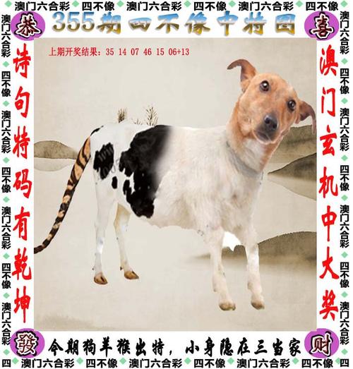 澳门精选免费精准资料大全一,真实经典策略设计_VR型43.237