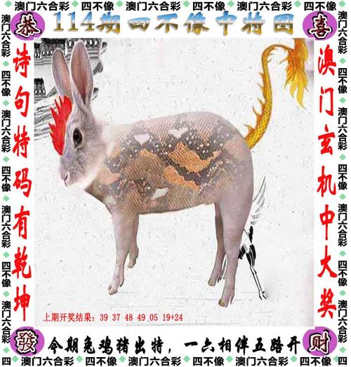 新澳门最近开奖记录查询,真实经典策略设计_VR型43.237