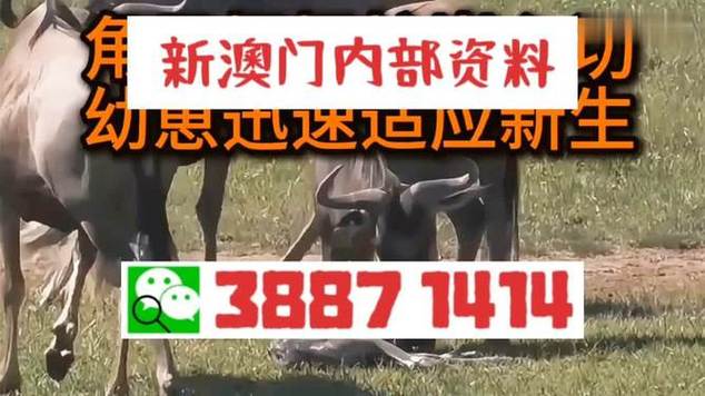 澳门五连肖都中了100元赔多少,设计策略快速解答_VR型43.237