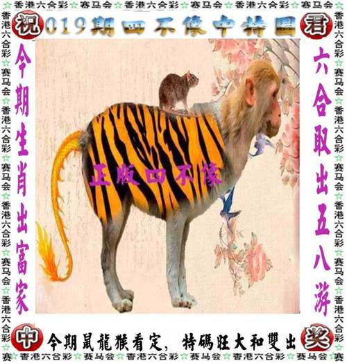 老澳门资料大全正版资料2023年免费,绝对策略计划研究_社交版40.12.0