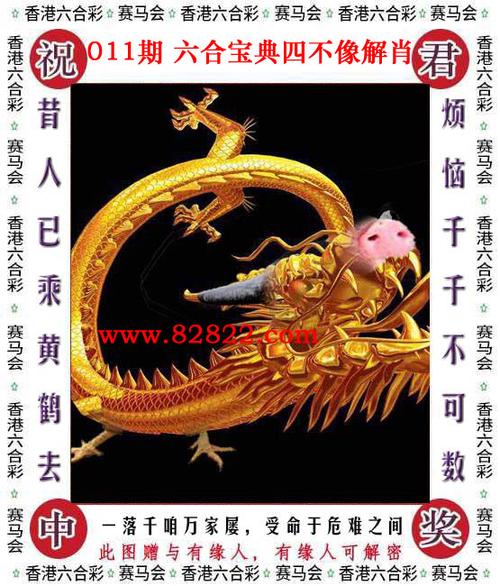 6合宝典踩库下载,设计策略快速解答_整版DKJ656.74
